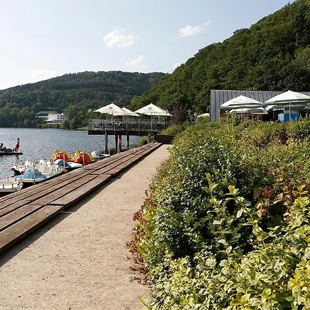 Wald Und