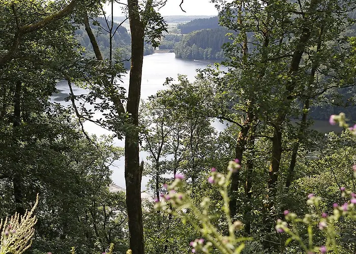 Wald Und Vakantiehuis