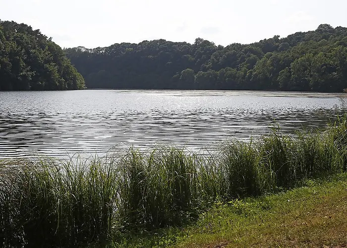 Wald Und * Biersdorf